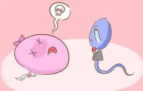 卵泡破裂同房几次最好