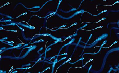 男人酒喝多了会死精吗