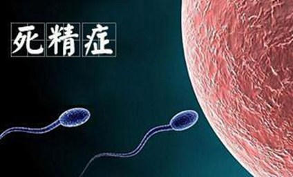 男子死精有什么身体表现
