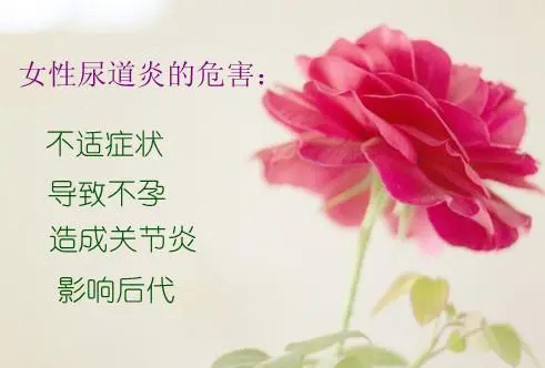 女性有尿道炎危害大吗